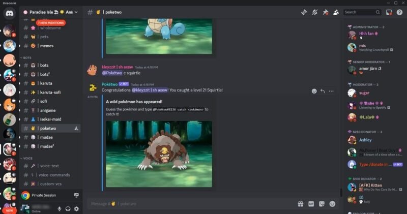 Paradise Isle server view on Discord.