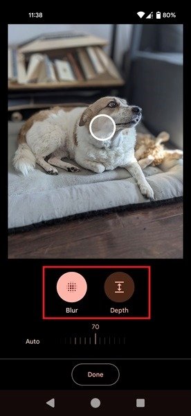 Playing with Blur and Depth in Google Photos app.
