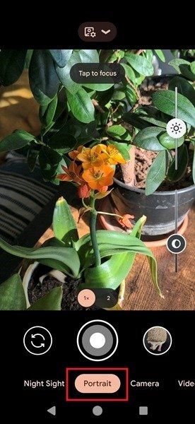Capturing image in Portrait mode using the Google Pixel Camera app.