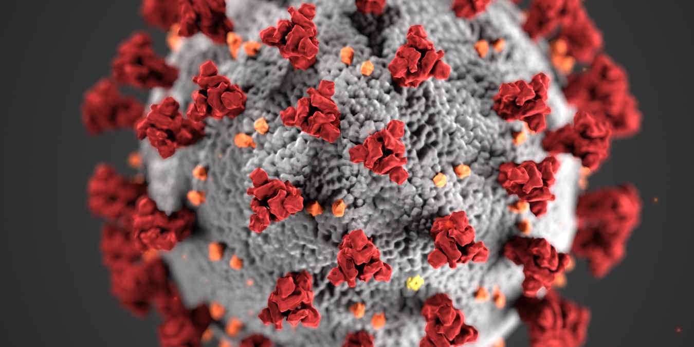 Foldingathome Virus