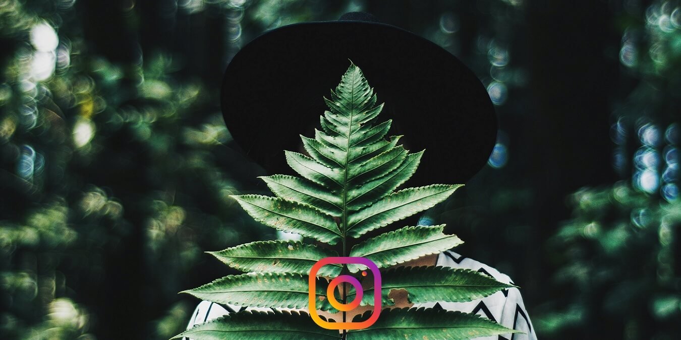 Hide Instagram Featured