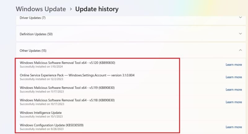 January 2024 Other updates history for Windows 11.