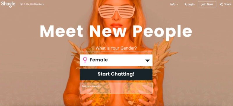 Omegle Alternatives Shagle Homepage