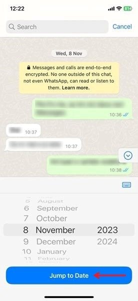Setting date to view messages from that date in WhatsApp for iOS.