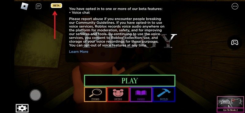 Viewing the Beta tag in Roblox game.