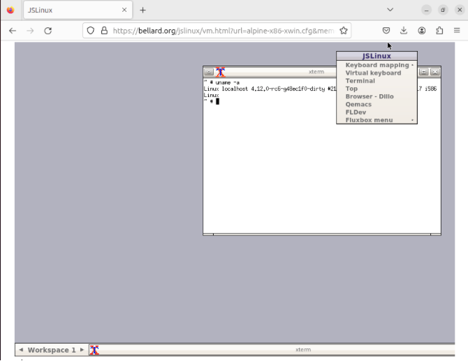 A screenshot showing a basic online X11 session running under a Linux emulator.