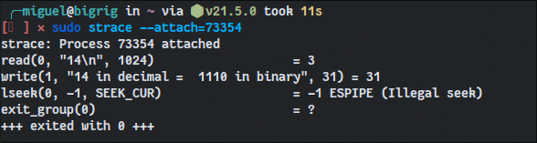 Linuxdebugger Strace